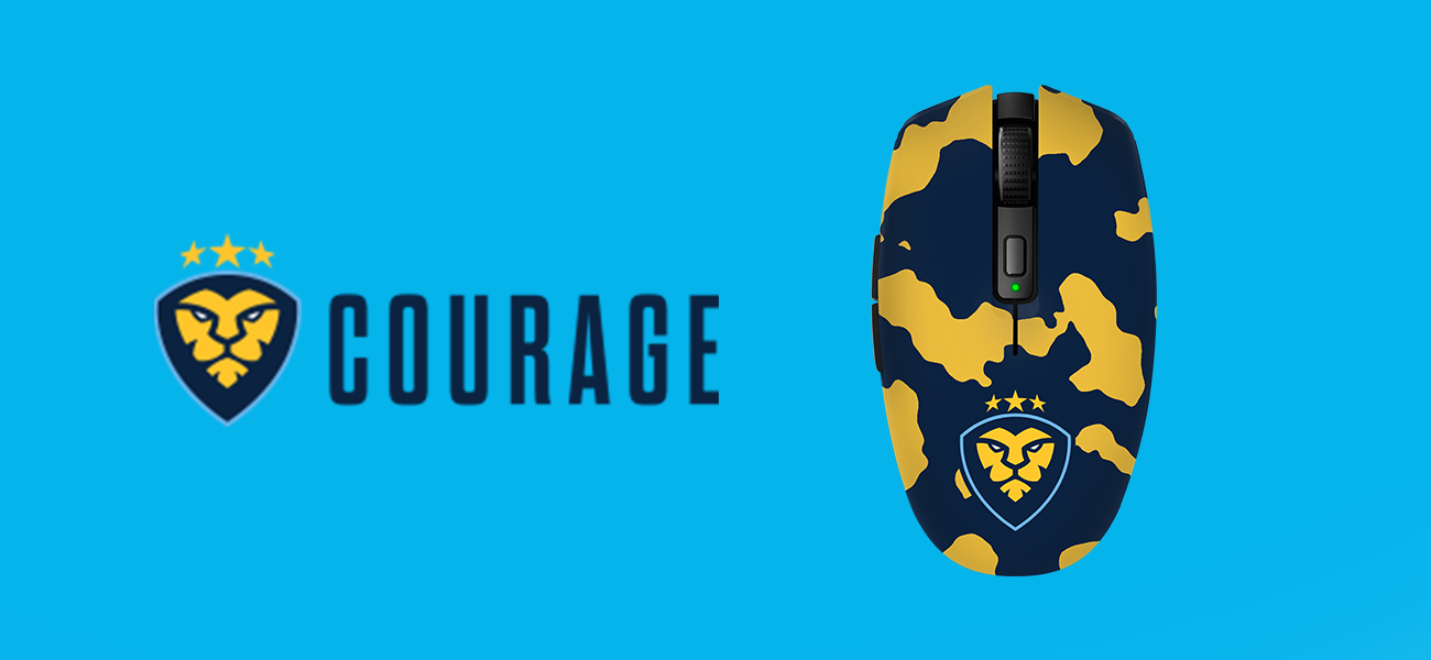 COURAGE